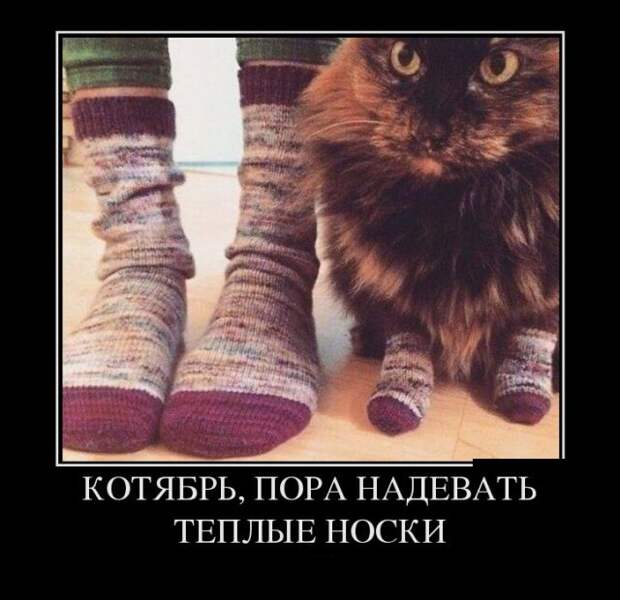 Свежие и позитивные демотиваторы для настроения (11 фото) Свежие и позитивные демотиваторы для настроения (11 фото)