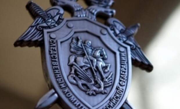 Председатель СК России поручил возбудить уголовное дело по информации о нападении собаки на ребенка в Астраханской области