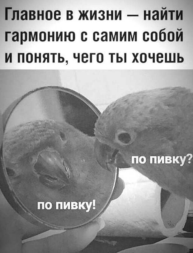 Шутки про алкоголь от пользователей социальных сетей, которые хорошо провели выходные