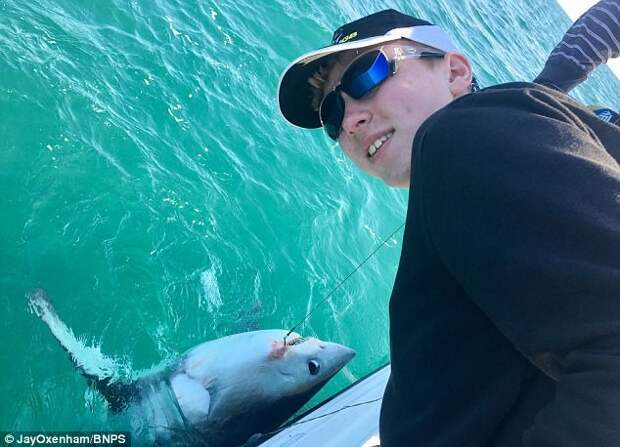 Селфи 13-летнего сына Джея Джона с уловом размер, сельдевая акула, улов