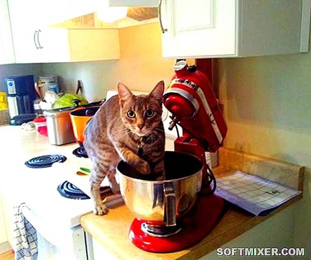 f7be3736b7608a15088bc0d13e9_prev