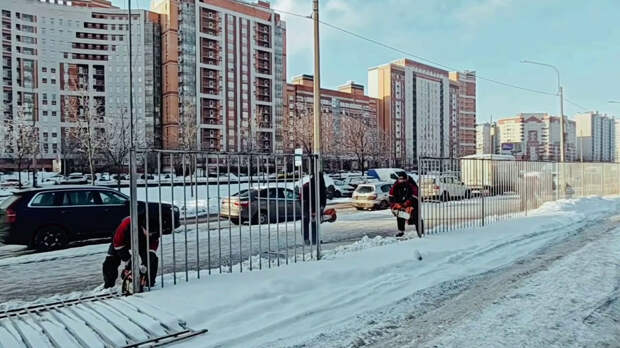 На Богатырском проспекте ликвидируют незаконную автостоянку