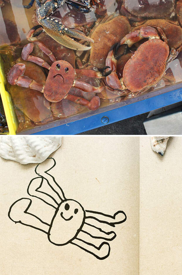 kid-drawings-things-i-have-drawn-dom-17-580dfb779950b__700