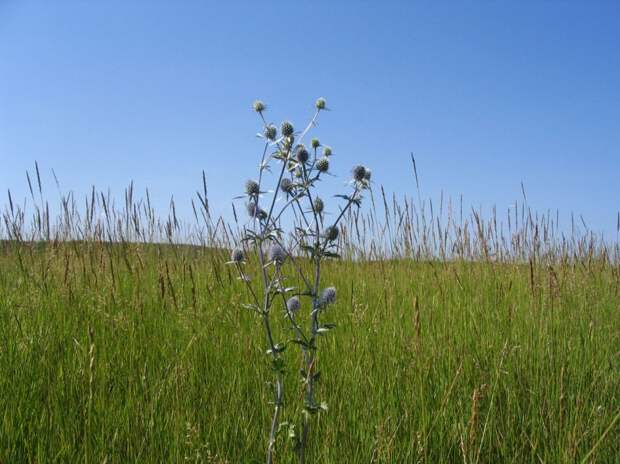 Росреестр предупредил туляков о необходимости освоения земель