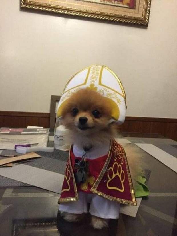 Прикольные картинки