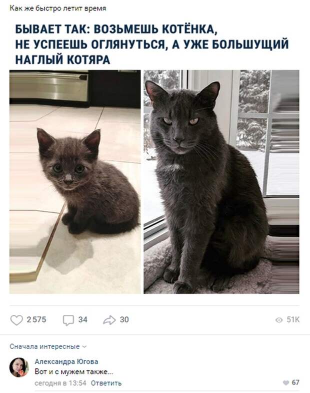 www.vsyako.net