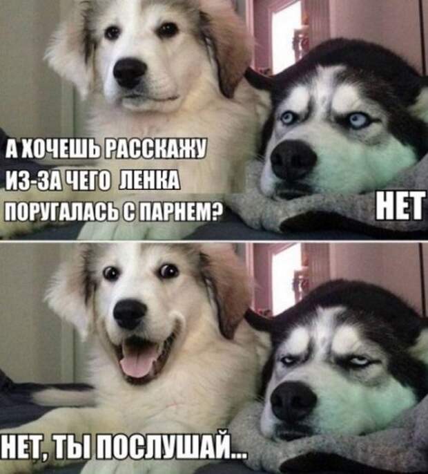 Новые фотомемы на Бугаге (24 шт)