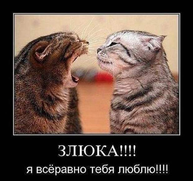 Свежие демотиваторы на воскресенье (10 фото) Свежие демотиваторы на воскресенье (10 фото)