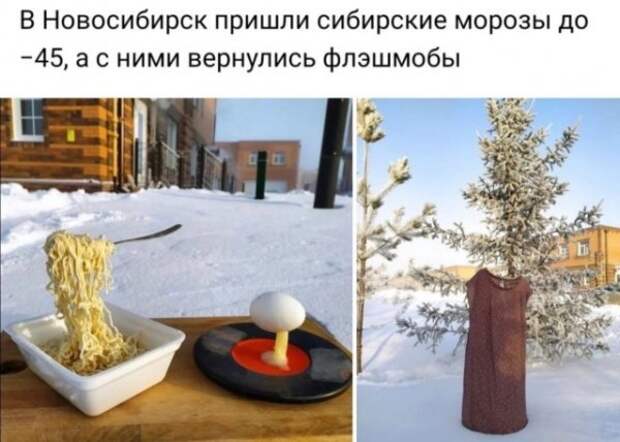 seti-kretinizmy-kartinki-smeshnye-kartinki-fotoprikoly