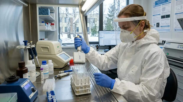 Что известно о новых случаях заражения оспой обезьян в Подмосковье