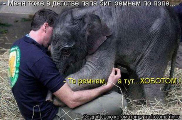 Котоматрицы(картинки с надписями)