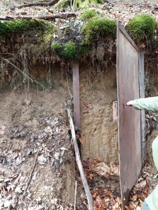 Разные неожиданные и жуткие находки в лесу