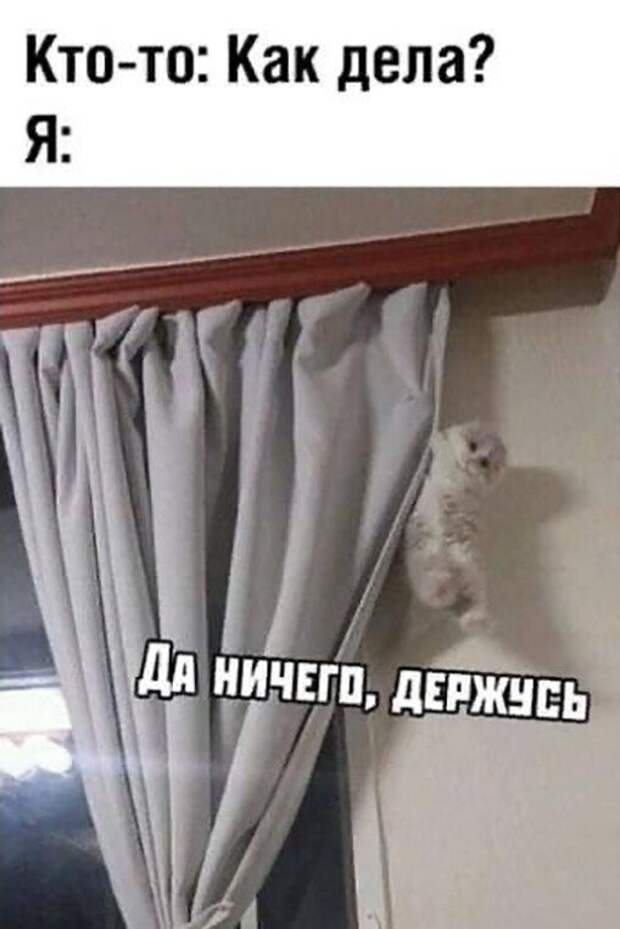 Прикольные и смешные картинки