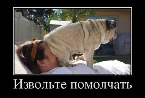 Прикольные демотиваторы для улыбок (11 фото) Прикольные демотиваторы для улыбок (11 фото)