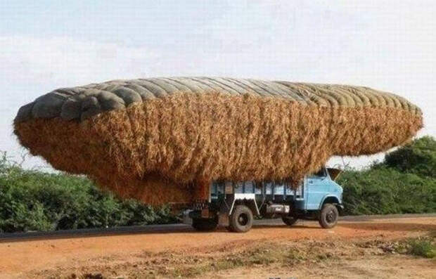 Наша Раша Наша Раша