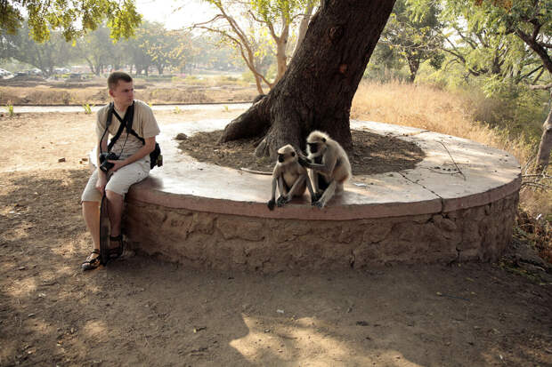 Роспотребнадзор призвал не есть сырые фрукты в странах, где болеют вирусом Нипах