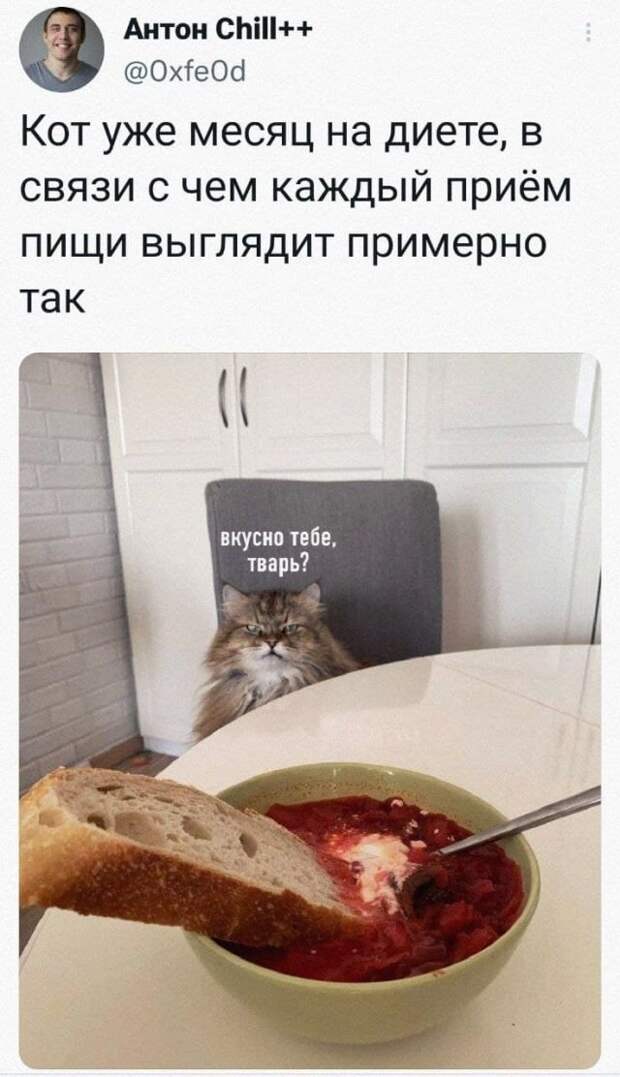Подборка забавных твитов обо всем