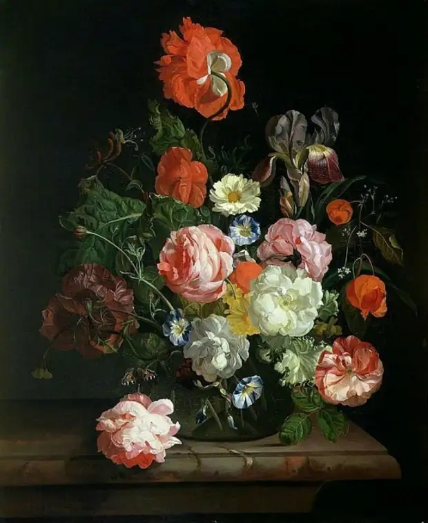  Rachel Ruysch (1664  1750).   