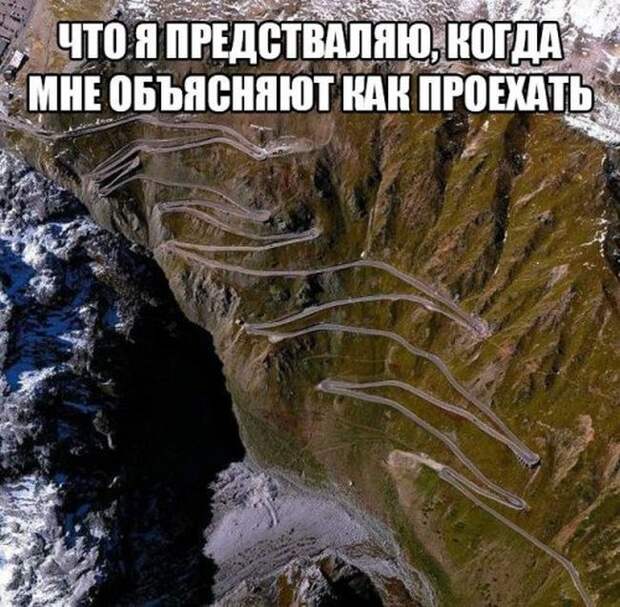 Прикольные картинки Прикольные картинки