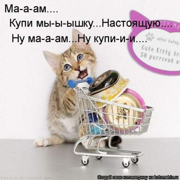 Главная котоматрица за неделю