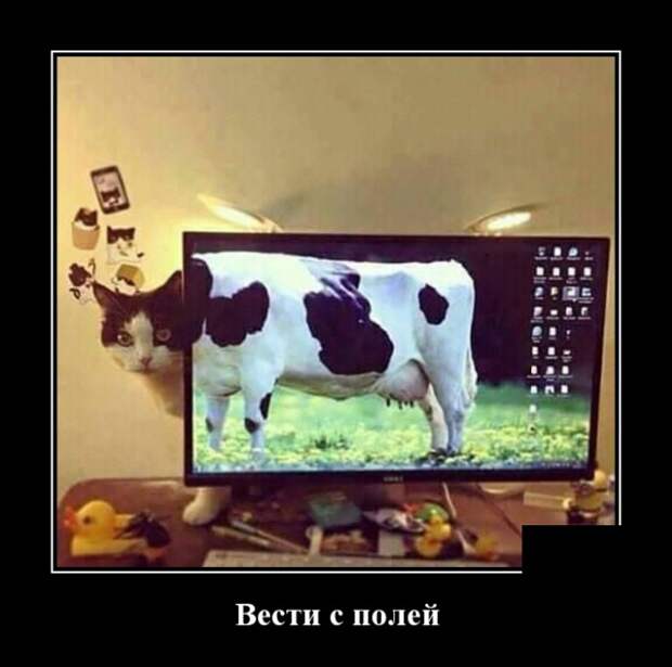 www.vsyako.net