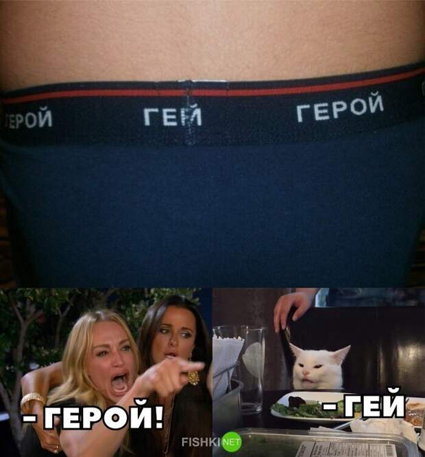 А вам нравятся мемы с белым котом?