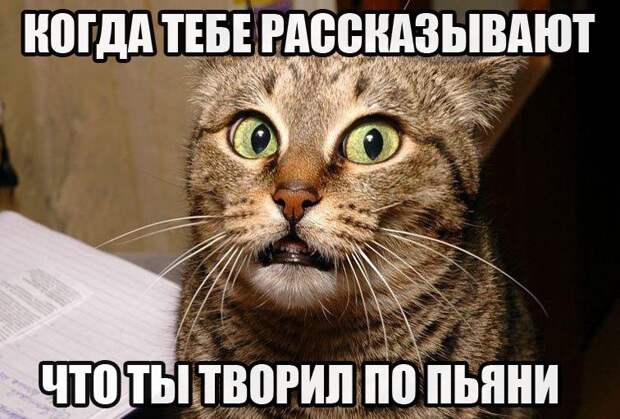 Прикольные картинки с надписями для настроения (10 фото) Прикольные картинки с надписями для настроения (10 фото)
