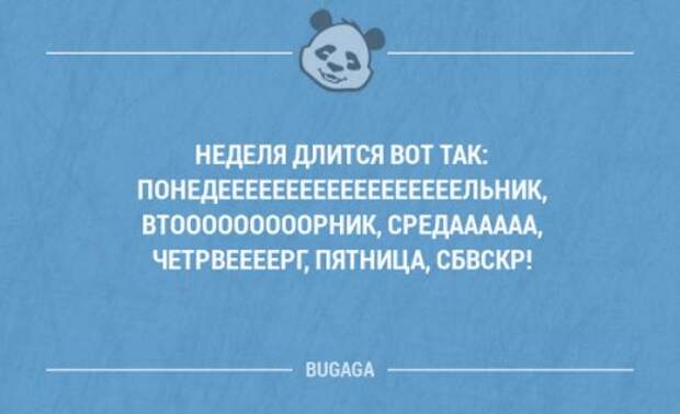 Прикольные фразы в картинках с надписями. Часть 64 (17 шт)