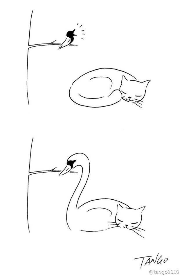 funny-comics-shanghai-tango-131-57b1be66b7df3__605
