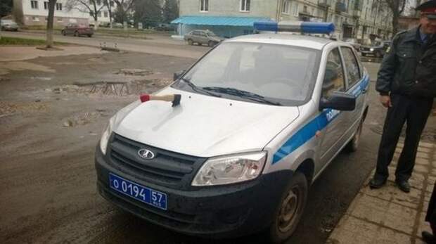 Автолюбители поймут: отличные приколы для поклонников «железных коней»
