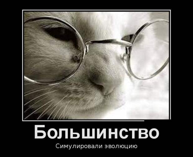 Лучшие демотиваторы дня. Часть 367. Лучшие демотиваторы дня. Часть 367.