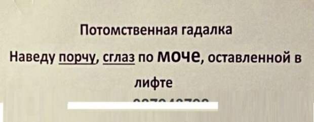 Картинки с надписями,истории и анекдоты