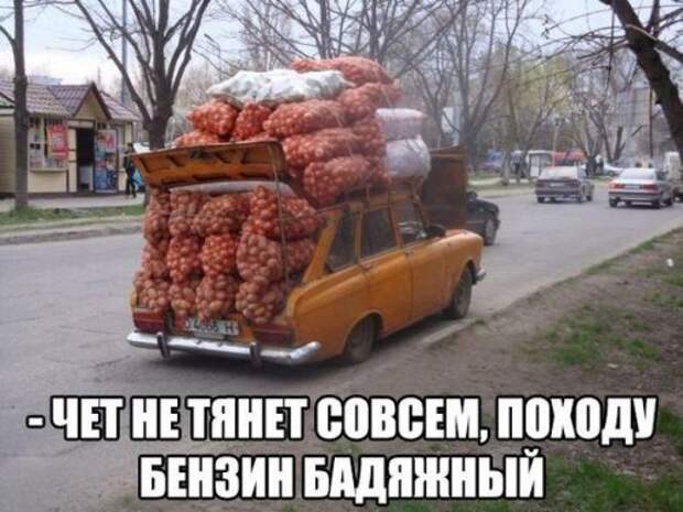 1438858368_avtoprikoly-12