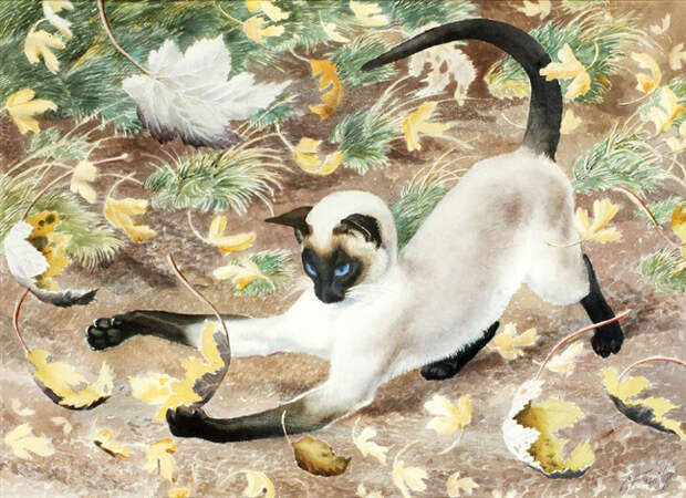 tunniclife_cat_playing.jpg tunniclife_cat_playing.jpg