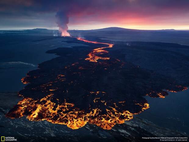 Лучшие фотографии National Geographic 2014 лучшие, природа, фото