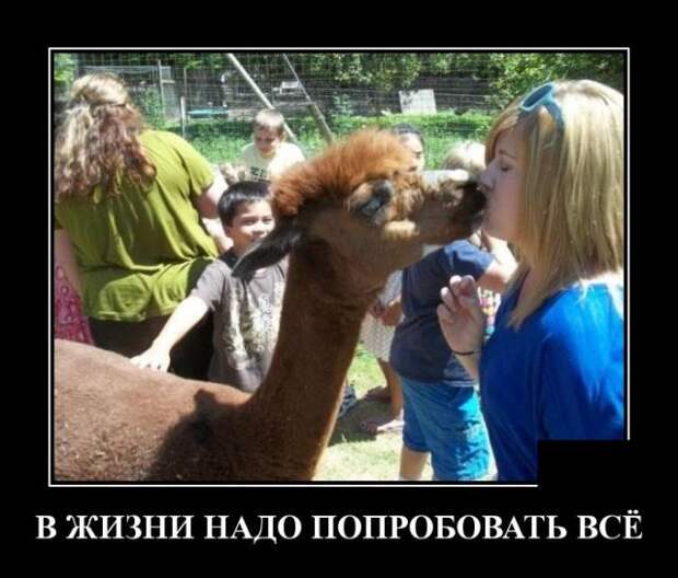 www.vsyako.net