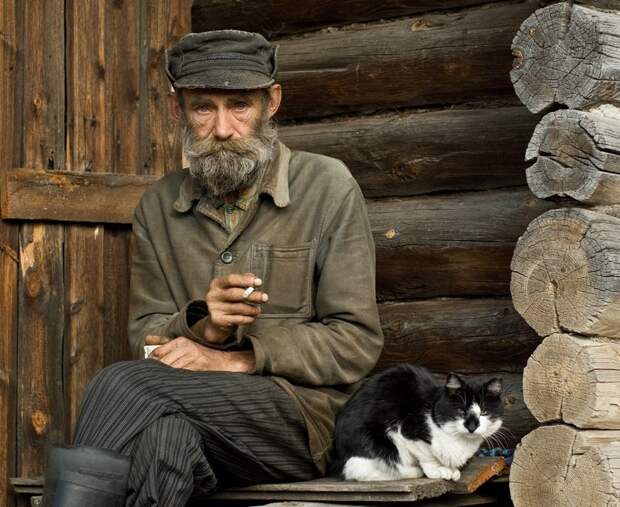 Данила Викторович дед, история, кот, коты