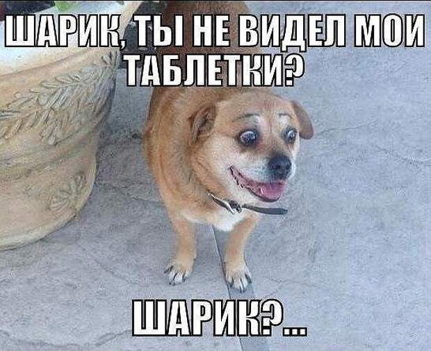 ПОЗИТИВНЫЙ ПОСТ+ 198