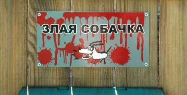 Таблички от хозяев с прекрасным чувством юмора животные, таблички, чувство юмора
