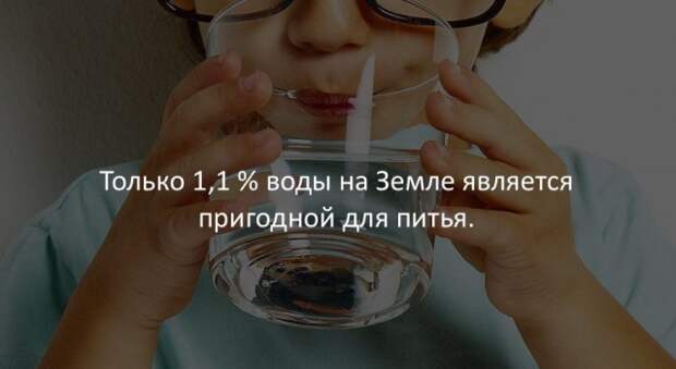 Занимательные факты Занимательные факты интересно, любопытно, факты