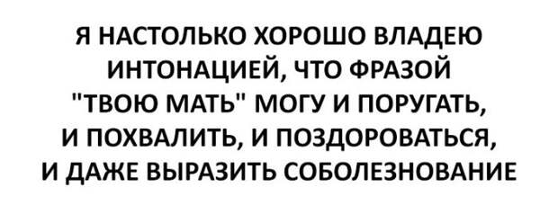 Прикольные картинки Прикольные картинки