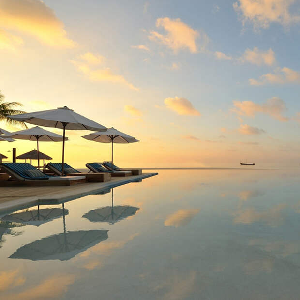 красивые бассейны,бассейн,дизайн бассейна,крытый бассейн,открытый бассейн