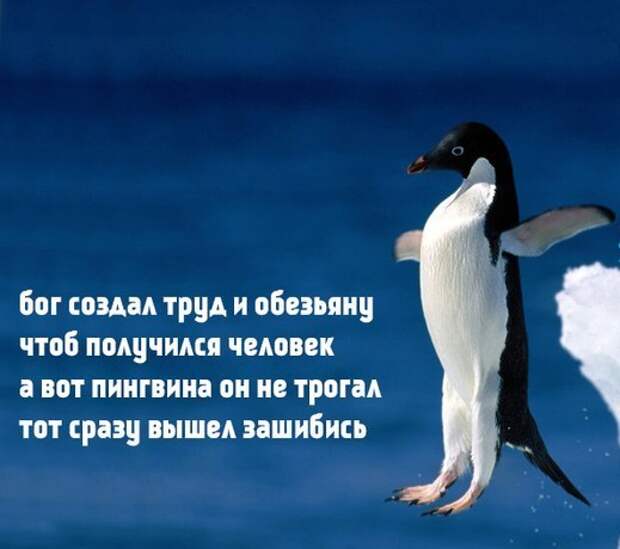 GUAHaX9BnnI