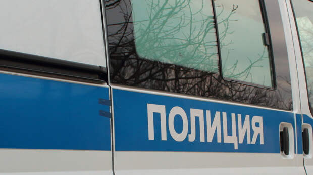 Полиция ищет пропавшую женщину с годовалым ребенком в Иркутской области