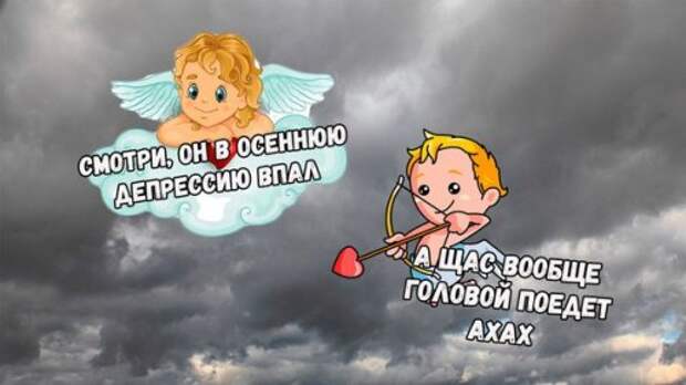 Прикольные фотомемы (23 шт)