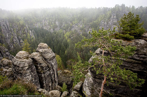 Саксонская Швейцария
