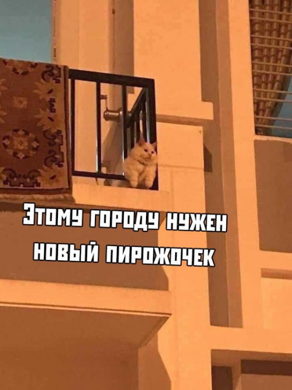 Немного картинок для настроения