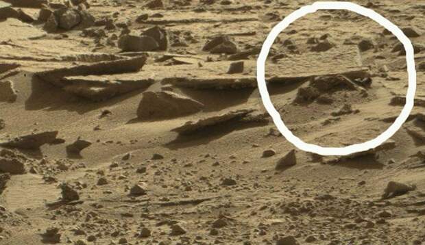 На фотографии с Марса обнаружен придавленный каменной плитой труп марсианина