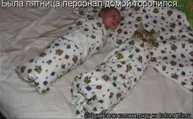Смешная котоматрица