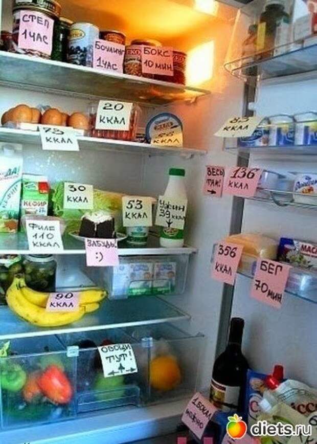 Холодильник-демотиватор